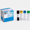 Kit de test PCR en temps réel du virus Monkeypox MPXV